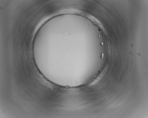 X0000077351192200611101606