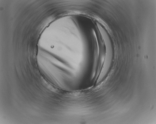 X0000077351193200611101606