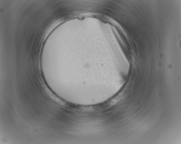 X0000077351194200611101606