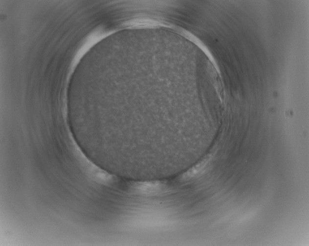 X0000077351195200611101606