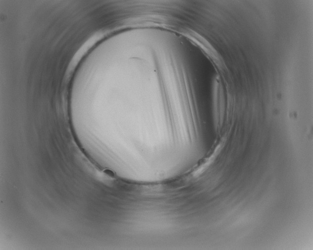 X0000077351196200611101606