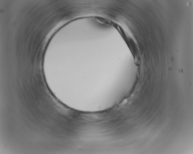 X0000077351197200611101606