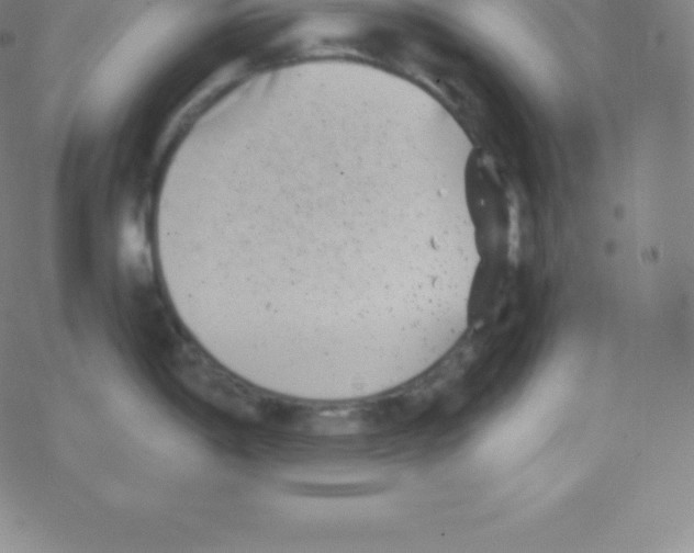 X0000077351198200611101606