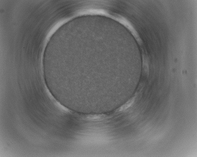 X0000077351199200611101606