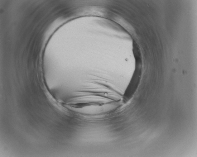 X0000077351200200611101606