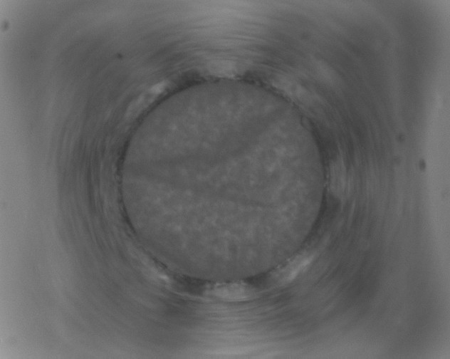 X0000077351201200611101605