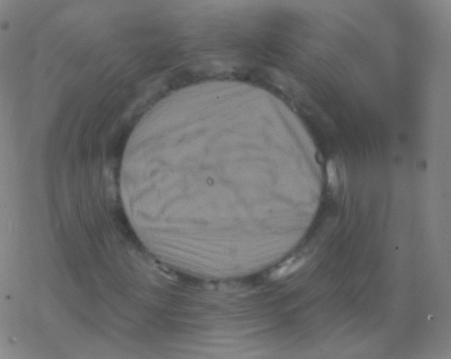 X0000077351203200611101605