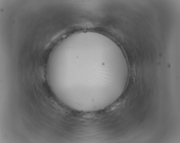 X0000077351205200611101605