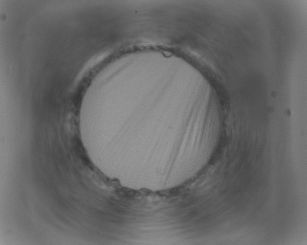 X0000077351207200611101605