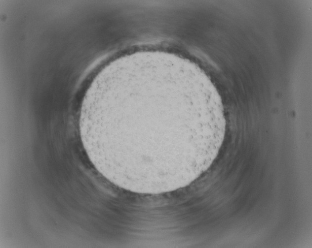 X0000077351208200611101605