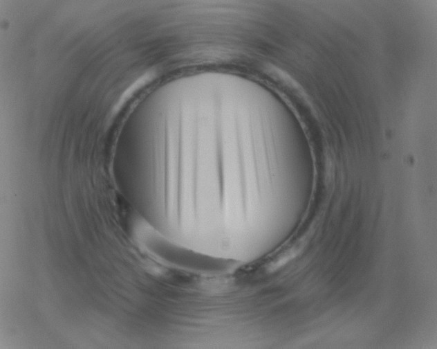 X0000077351210200611101605