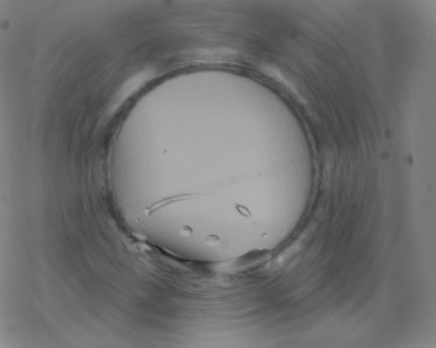 X0000077351211200611101605