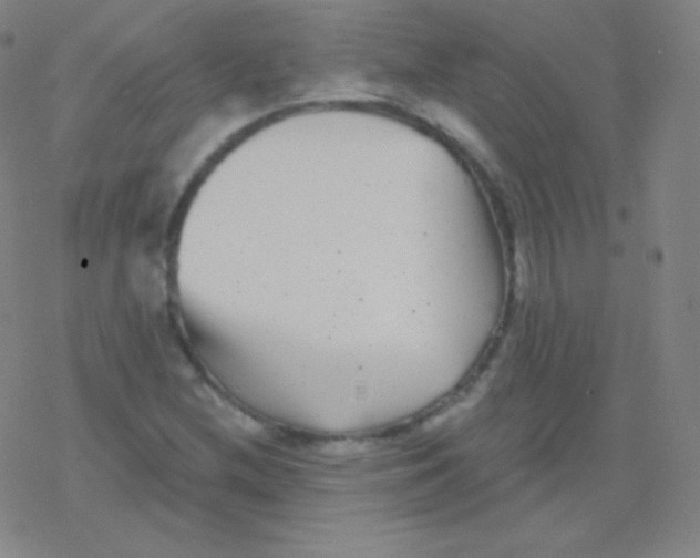 X0000077351212200611101605