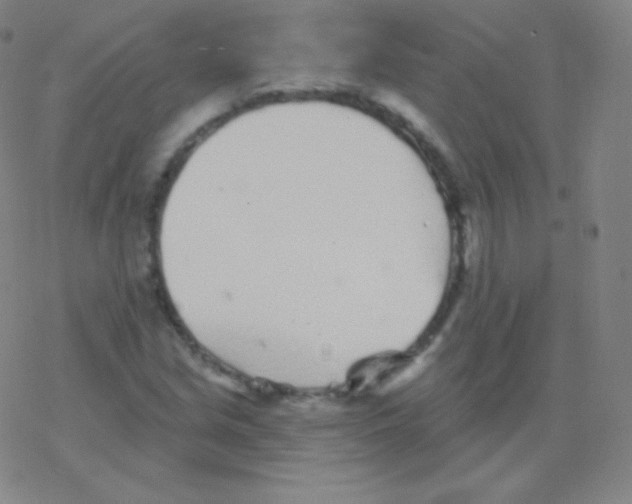 X0000077351213200611101605