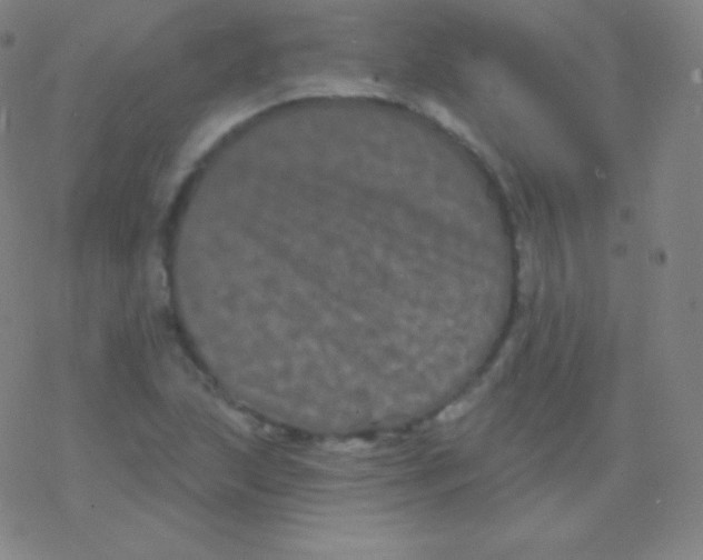 X0000077351215200611101605