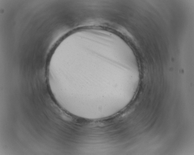 X0000077351216200611101605