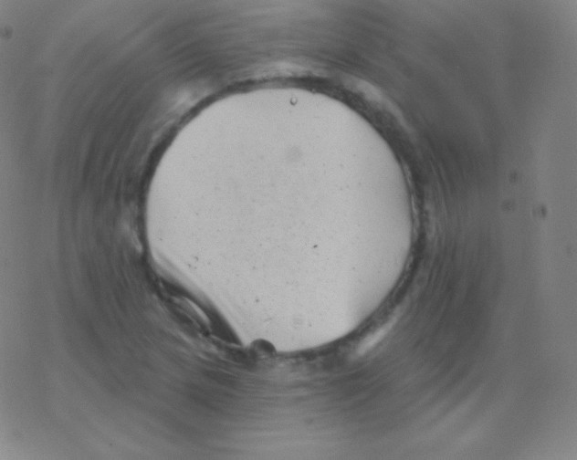 X0000077351217200611101605