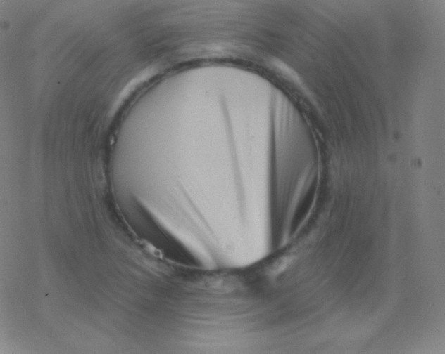 X0000077351218200611101605