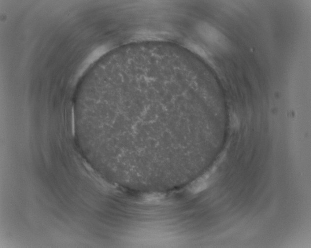 X0000077351219200611101605