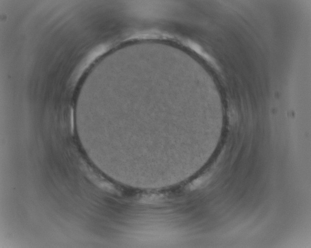 X0000077351221200611101605