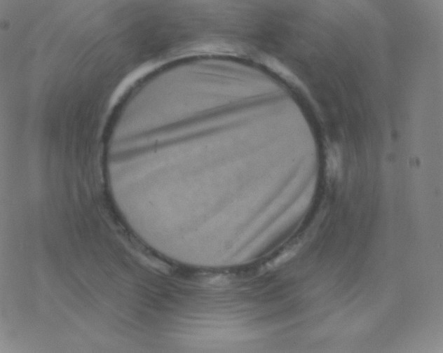 X0000077351222200611101605