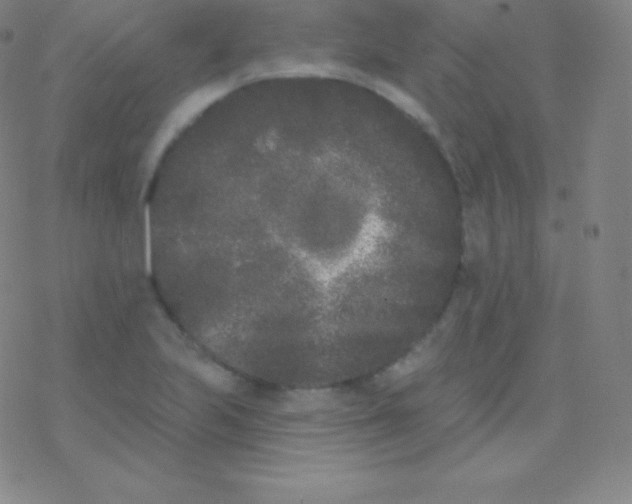 X0000077351223200611101605