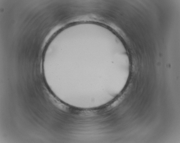 X0000077351224200611101605