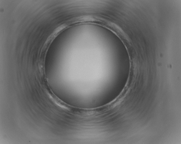 X0000077351225200611101605