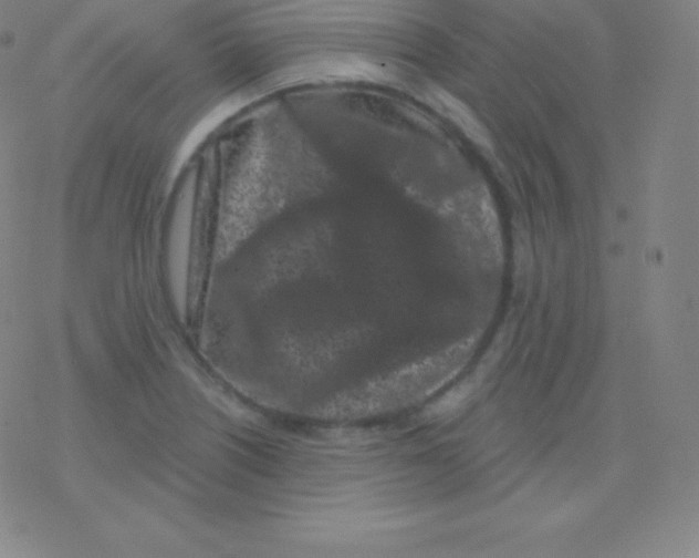 X0000077351226200611101605