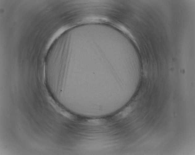 X0000077351227200611101606