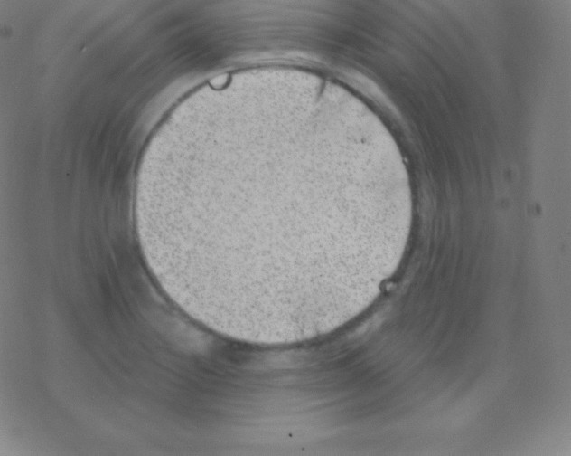 X0000077351228200611101606