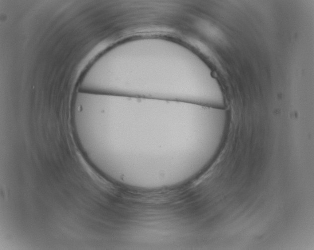 X0000077351229200611101606