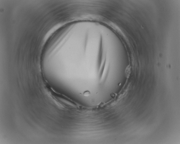 X0000077351230200611101606