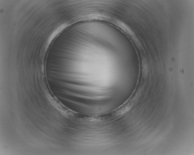 X0000077351234200611101606