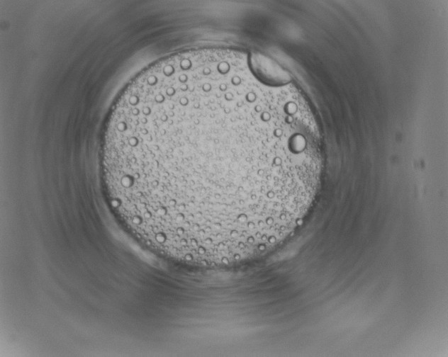 X0000077351235200611101606