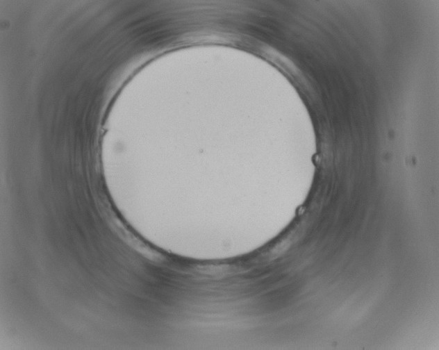 X0000077351236200611101606