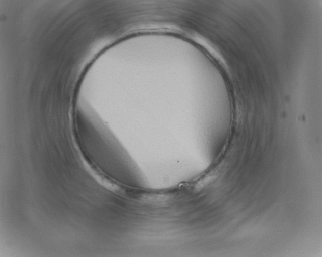 X0000077351237200611101606