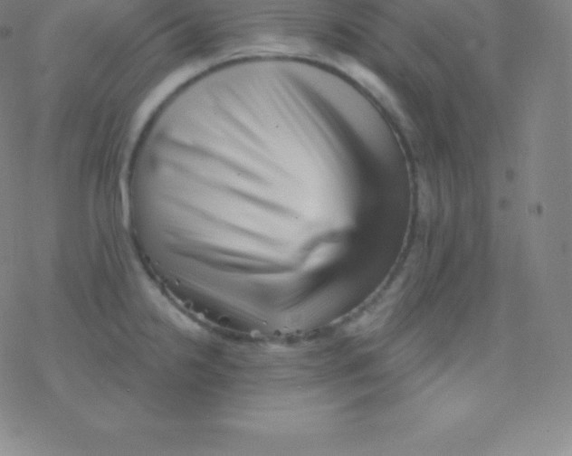 X0000077351238200611101606