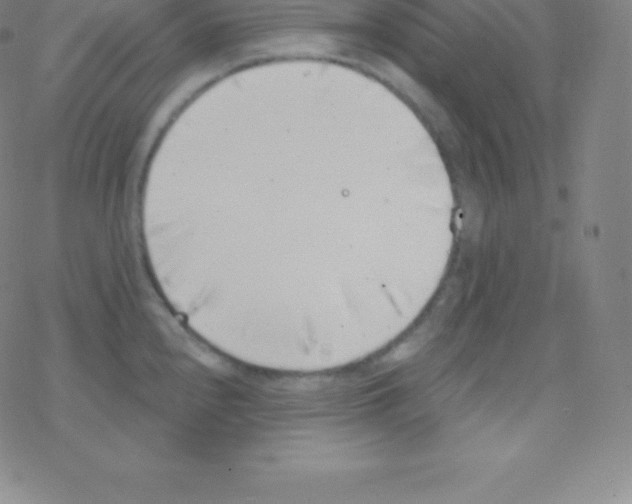 X0000077351240200611101606