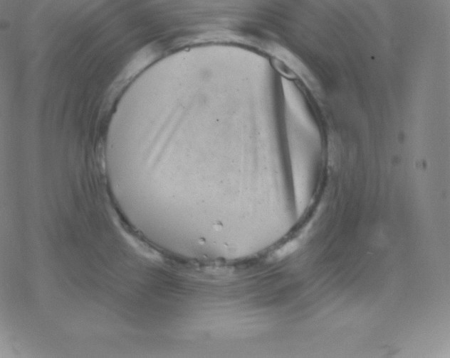 X0000077351241200611101606