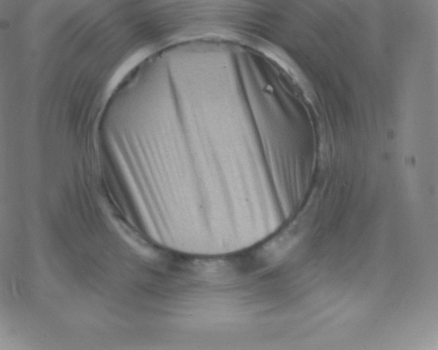 X0000077351242200611101606