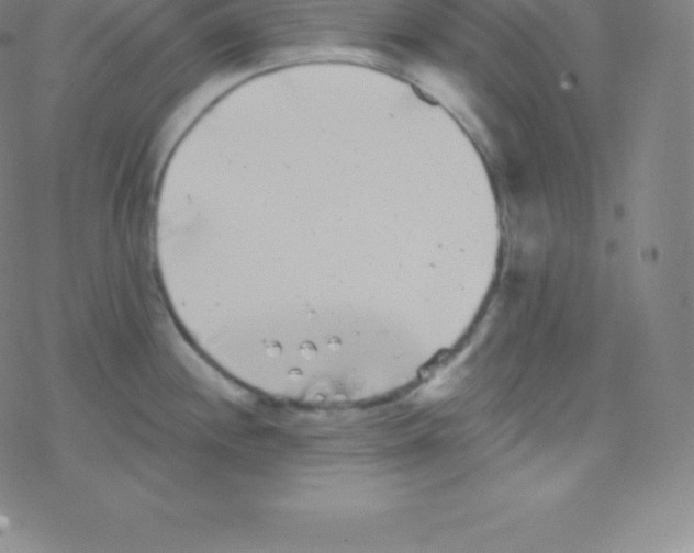 X0000077351244200611101606