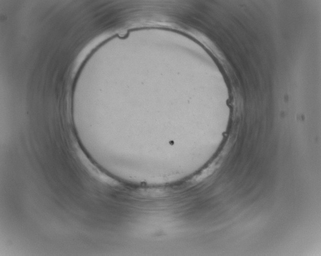 X0000077351246200611101606