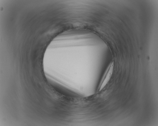 X0000077351249200611101605