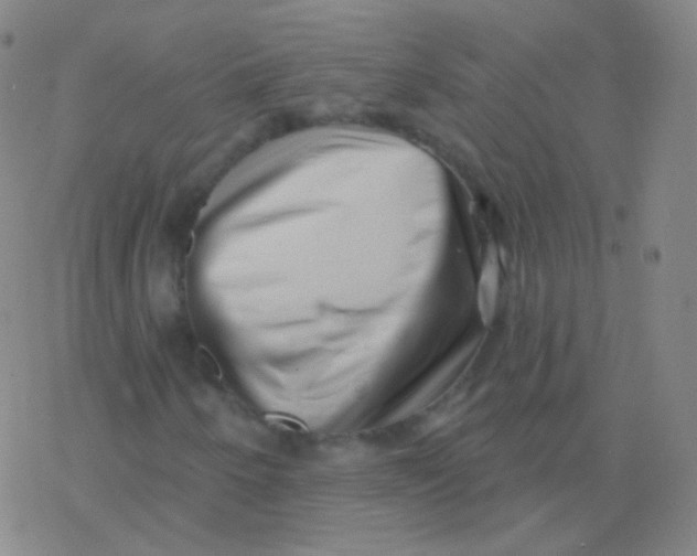 X0000077351250200611101605