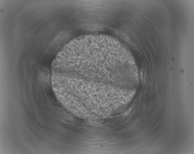 X0000077351251200611101605