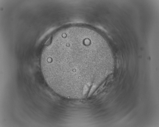 X0000077351255200611101605