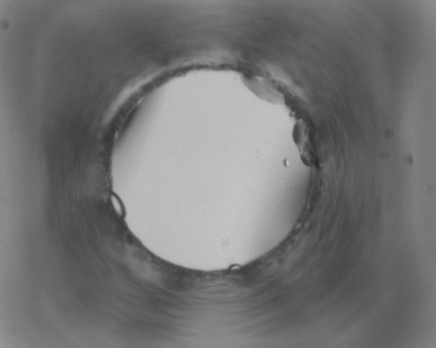 X0000077351256200611101605