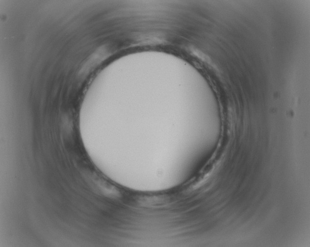 X0000077351257200611101605