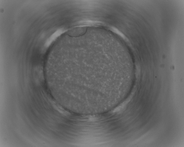 X0000077351259200611101605